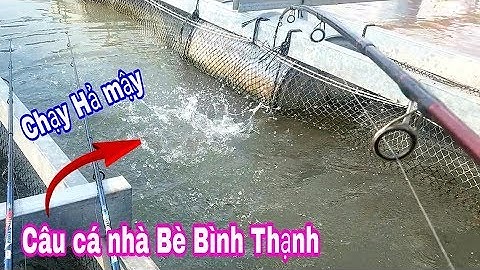 CÂU CÁ CÓC, CÁ DÃNH Ở LÀNG BÈ BÌNH THẠNH, BẾN PHÀ SA ĐÉC, DÍNH CÁ PHÁT MÊ // FISHING IN THE RIVER