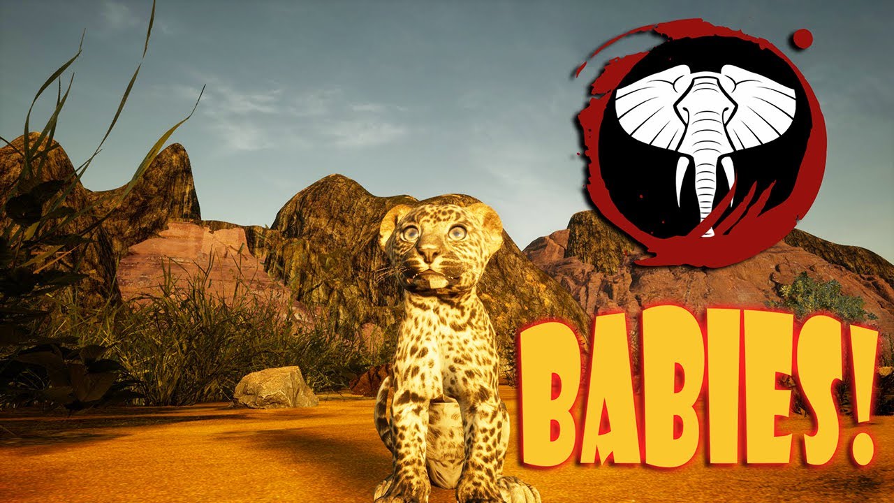 CUTE ANIMAL BABIES ARE HERE! Growth Update -Animalia Gameplay- - YouTube