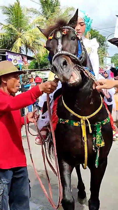 dancing horse procession 🐎🐎🐎#short #kudajoget