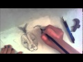 [SpeedDrawing] Realistic Lion || Head/Face