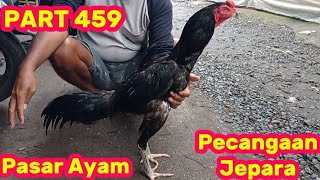 PART 459 🛑 Pecangaan Chicken Market, Jepara