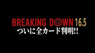 どうよ？BreakingDown16.5は？wwwwwwwww【ブレイキングダウン16.5】
