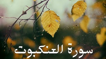 سورة العنكبوت كاملة للشيخ هاني الرفاعي بصوت عذب و جميل و تلاوة رائعة و بدقة عالية .. توقف و أرح قلبك
