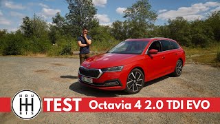 TEST Škoda Octavia 4 - Je to opravdu takový průšvih? CZ/SK