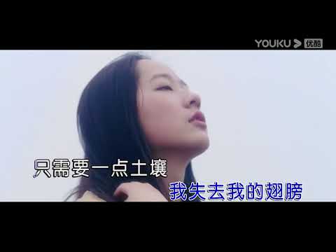 苏静跞【蒲公英】原版MV~KTV字幕