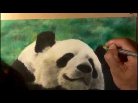 色鉛筆 パステル リアルなパンダの描き方 How To Draw A Panda Pastel Drawing Youtube