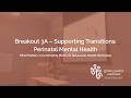 Breakout 3A Supporting Transitions: Perinatal Mental Health | 3.26 Mind Matters Workshop