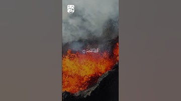 سورة التكاثر القارئ الشيخ ماهر المعيقلي   #اكسبلور #القران