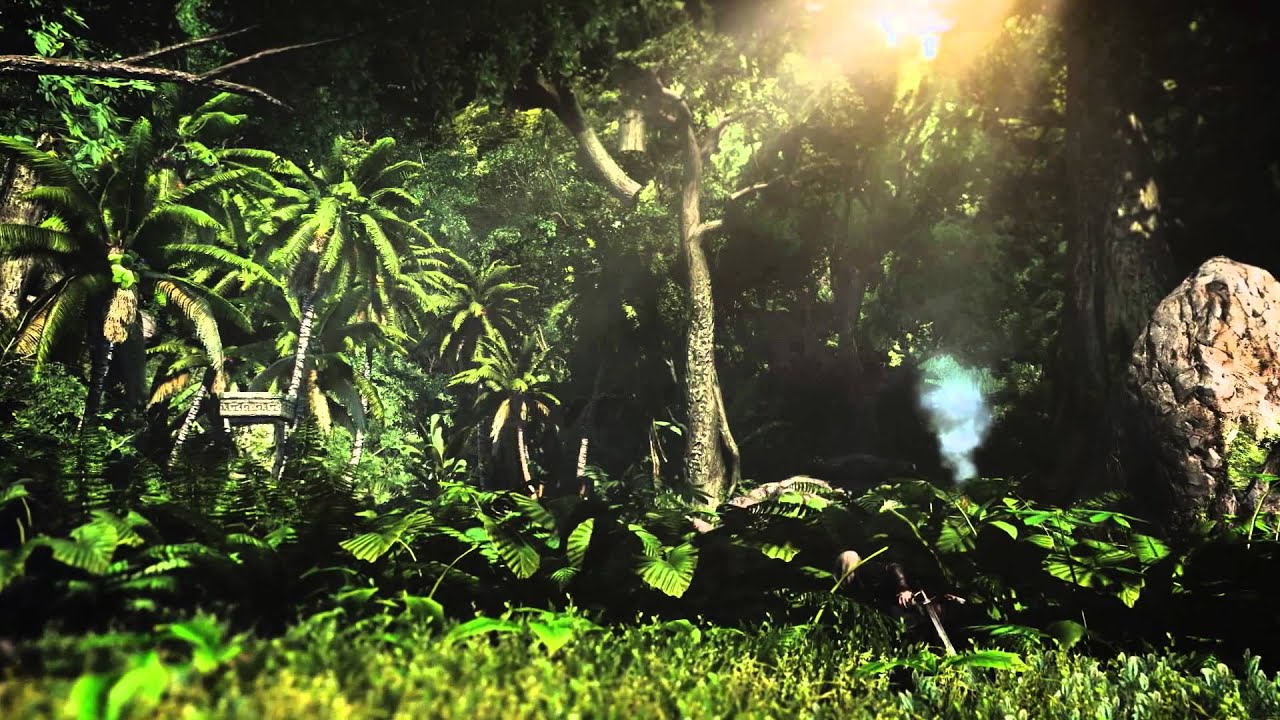 Assassin's Creed IV: Black Flag - Wii U