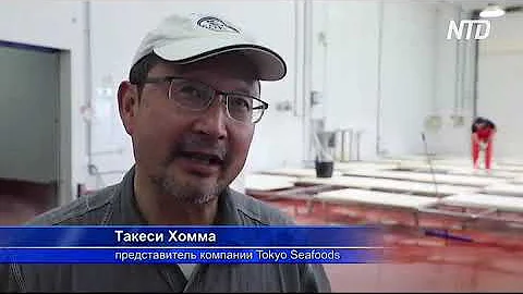 В Испании охотятся на тунца так же, как 3000 лет назад