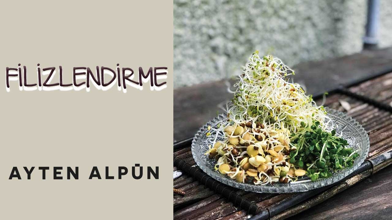 Filizlendirme | Ayten Alpün