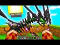 SBLOCCHIAMO ETERNATUS SHADOW SEGRETO NELLA PIXELMON!!