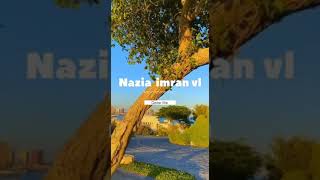 Never let me go || Life in Qatar || Nazia imran vlogs