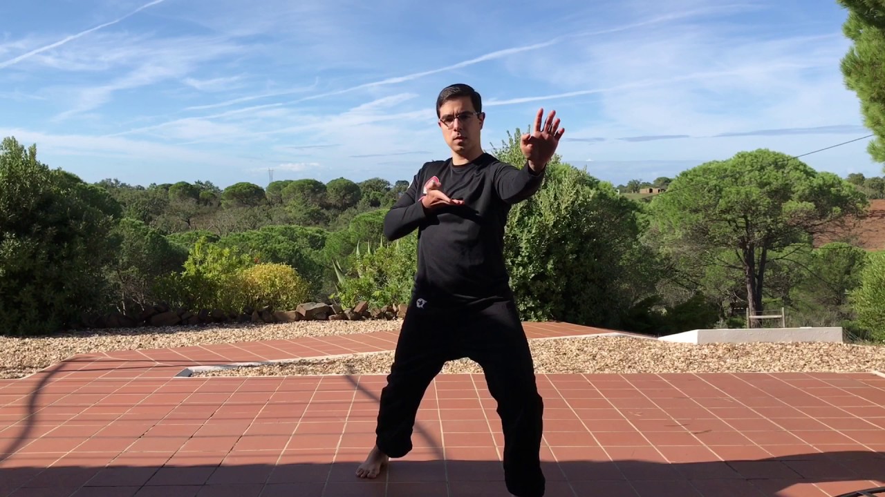 Anatoa Differences from Toa Lotus to Traditional Kung Fu Toa