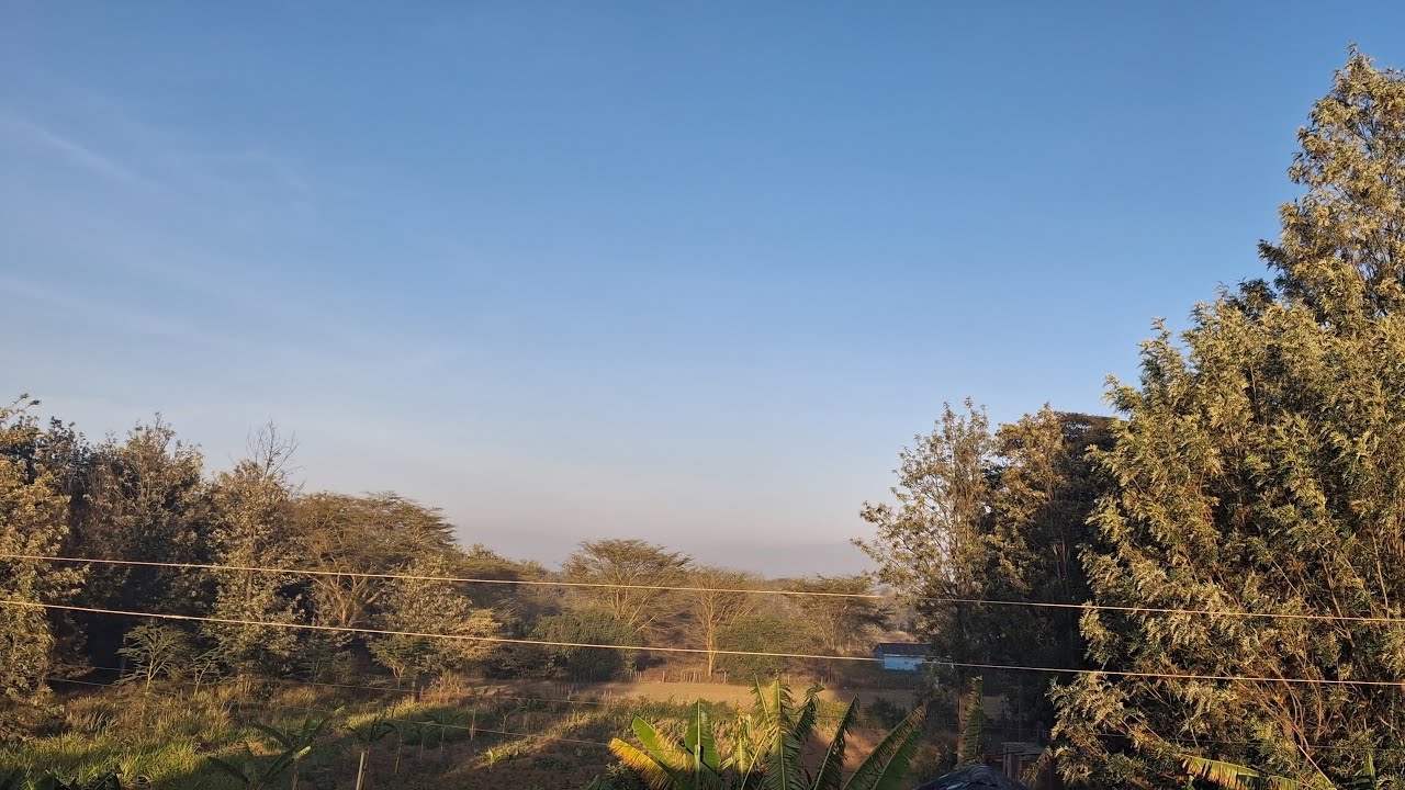 Day 19🔥 Skipping Rope + Full Body Band Workout LIVE | Outdoor  Energy 🌿💪