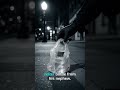 How Y-STR DNA Named the Boston Strangler | Forensic Briefing