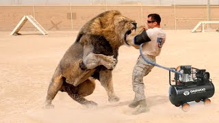 12 Most Powerful Animal Bites on the Planet | Stunning Fives Net Worth