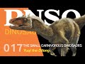 017 Yuqi the Dilong | The Small Carnivorous Dinosaurs | PNSO DINOSAUR MUSEUM Season III