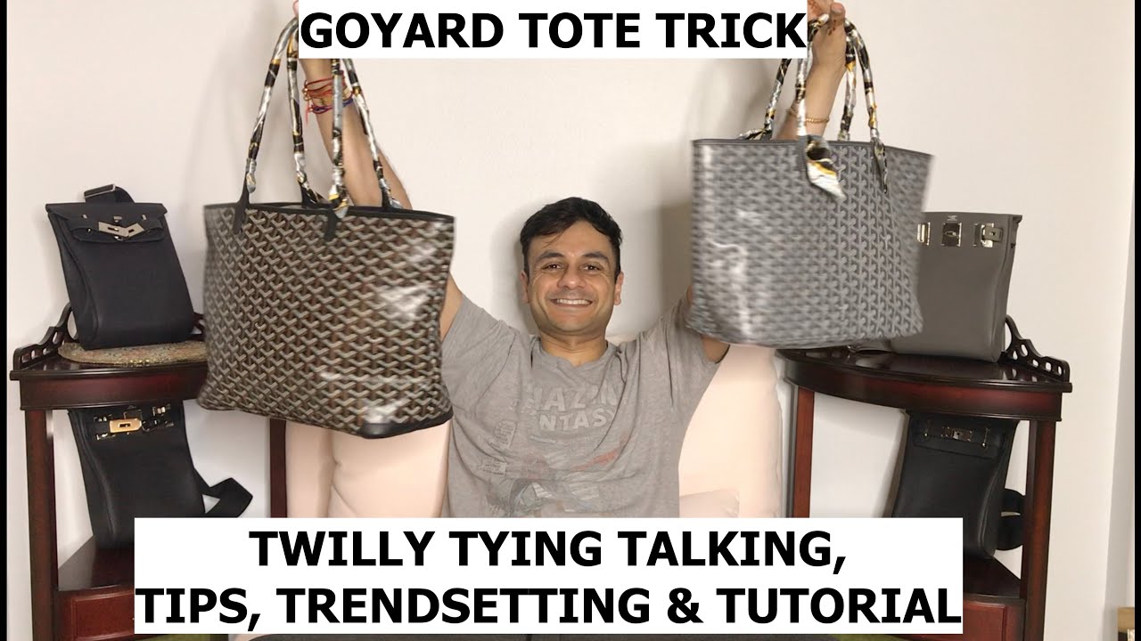 Goyard backpack review  Alpin unboxing, pricing & how to style