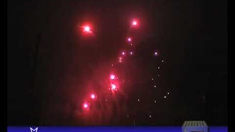 Delphinus (www.eigentijd.eu)