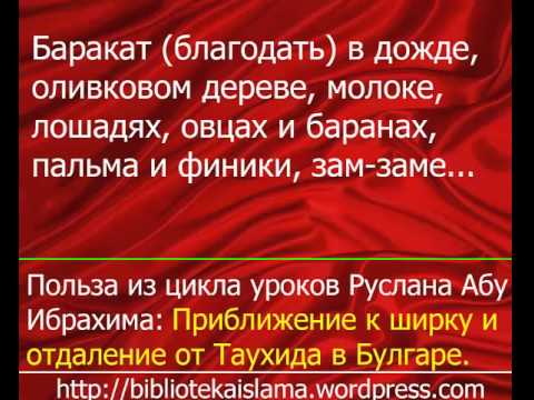 Баракат что означает