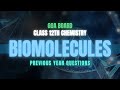 Master Biomolecules with PYQs | Chemistry Made Easy | The Bodhi Academy