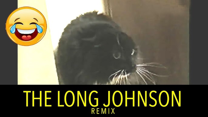 Oh Long Johnson Cat (@OLongJohnsonCat) / X