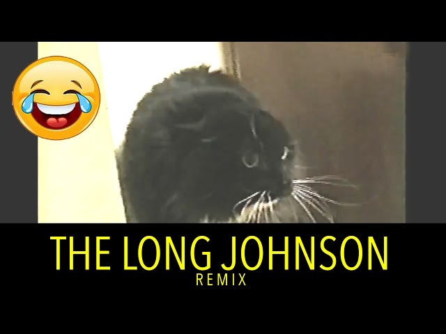 Long Dong Johnson (@LDJohnson69420) / X