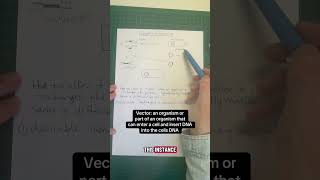 Genetic Engineering - AQA GCSE Biology Paper 2
