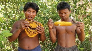 Harvesting Honey From Beehive Using Traditional Cigars By Two Brave Jungle Men