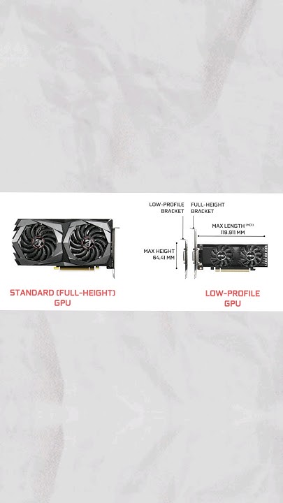 what-is-low-profile-graphic-card-is-it-cheaper-shorts-gamingnews