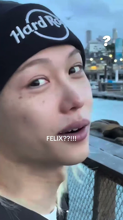 He is one of them🤣 🦭 #felix #felixstraykids #felixskz #straykids #skz