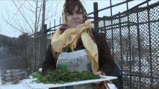 лапша казачья домашняя по рецепту ансамбля КАЗАЧИЙ ДЮК лапша казачья домашняя по рецепту ансамбля КАЗАЧИЙ ДЮК