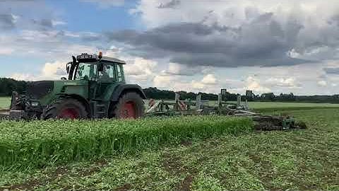 Laying Down a Buckwheat Cover Crop with a Kelly Model 3009