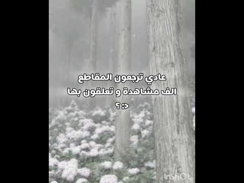 ليش التفاعل نزل