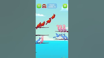 Bird sort   Color Birds Game 11 | MFQ Gamer