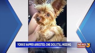 One suspect arrested, another still missing, in connection with alleged dog napping in Palm Springs