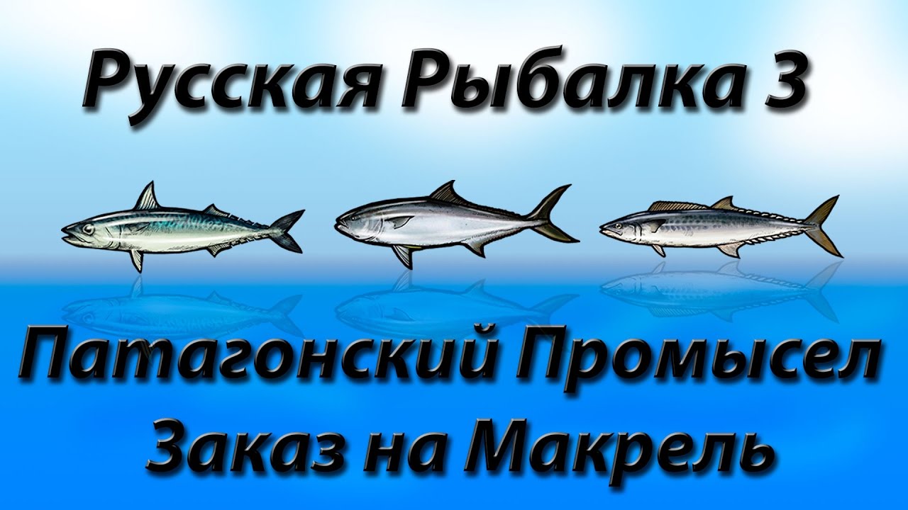 Лови заказ. Макрель малагасийская рр3. Патагонский лобстер русская рыбалка 3.99. Русская рыбалка 3.99 рыбный промысел кальмары. Сардина и ставрида отличия.