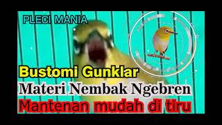 Masteran Pleci Nembak Panjang Paling di Cari!!!!