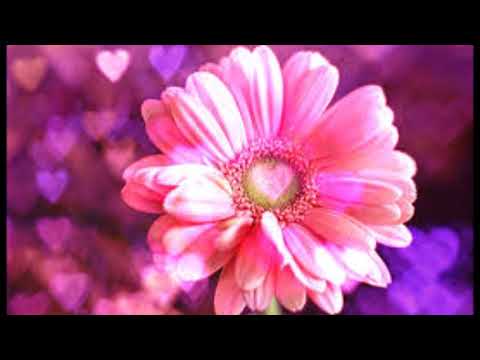 LUA E FLOR- OSWALDO MONTENEGRO