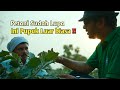 Petani lupa ini pupuk terbaik dari alam humus