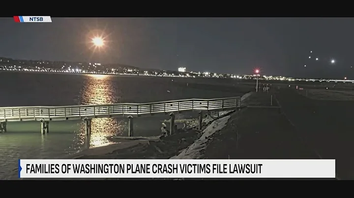 Family of DC plane crash victim sues FAA, Army and American Airlines