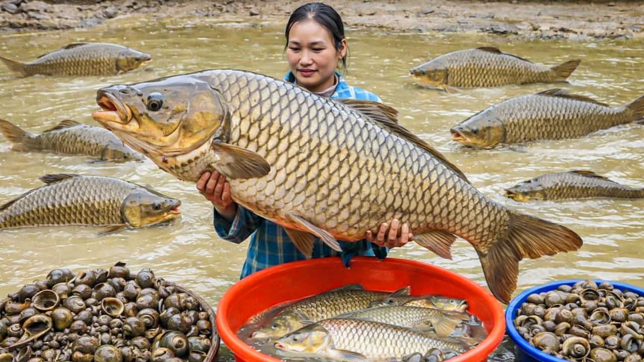 Catching Big Fish from the Lake, Selling at the Local Market & Cooking with My Little Girl