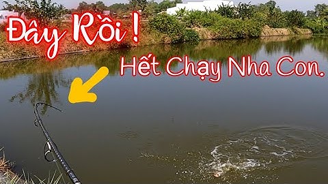 Săn Bắt Và Ẩm Thực | Câu Lure Cá Lóc Buổi Sáng Đầy May Mắn/ca loc/ cau ca loc/cau lure / lure ca loc