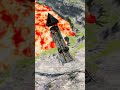 gavril MD-series vs giant lava pit