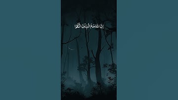 الحمد لله على كل حال 💗.... #قران_كريم #المصحف #قرآن #تلاوات_خاشعة # #اكسبلور #لايك