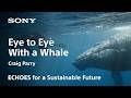 ECHOES | Craig Parry | Sony