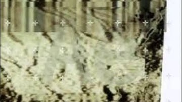 Autechre – Doctrine (1993 UK)