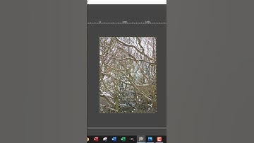Import multiple images in GIMP  #shorts #igcse #gimp #igcseict