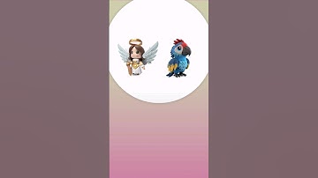 Angel + Macaw | Animash #animash #shorts #transformation